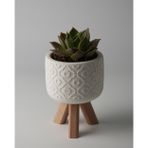 Kaju Creative Dekoratif Beton Saksı - Otantik Çiçek - Beyaz