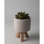 Kaju Creative Dekoratif Beton Saksı - Yaprak - Ahşap Ayaklı