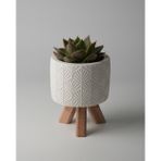 Kaju Creative Dekoratif Beton Saksı - Yaprak - Beyaz