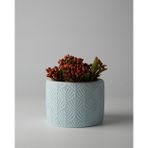 Kaju Creative Dekoratif Beton Saksı - Yaprak Desenli 8x10 0.25L Küçük Boy Saksı
