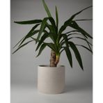 Kaju Creative Dekoratif Büyük Boy Beton Saksı - Silindir 4.5L - 20x18 CM