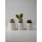 Kaju Creative Mini Sukulent Saksısı – Dekoratif Beton Saksı – – 7x7 cm | 3'lü Set ve Tekli - Beyaz