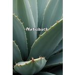 Kakteen Notizbuch Sukkulenten Fotoalbum Kaktus Zeichenbuch Agaven Skizzenbuch Zimmerpflanzen Kaktusarten Pflanzenpflege Geschenkbuch Kaktusblüten ... Bullet Journal Euphorbia Tagebuch A05A