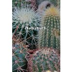 Kakteen Notizbuch Sukkulenten Fotoalbum Kaktus Zeichenbuch Agaven Skizzenbuch Zimmerpflanzen Kaktusarten Pflanzenpflege Geschenkbuch Kaktusblüten ... Bullet Journal Euphorbia Tagebuch A11A
