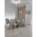 Kaktüs Avm 4'lü Salon Sandalyesi Mutfak Sandalyesi Yemek Odası Sandalyesi Papel Sandalye Baby Face - Krem