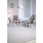 Kaktüs Avm Still Beyaz MDF 70x110 Sabit Mutfak Masası Takımı Beyaz Metal Ayak 4 Cappucino Sandalye