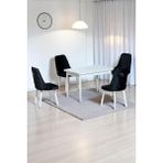 Kaktüs Avm Still Beyaz Sunta 70X110 Sabit Mutfak Masası Takımı Beyaz Metal Ayak 4 Antrasit Sandalye - 70 x 110 cm