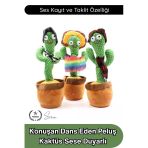 #Kaktüs Konuşan Dans Eden Kaktüs Oyuncak Sese Duyarlı Ses Kayıtlı Müzikli Peluş Bebek Eğitici Taklit Eden Hareketli İnte