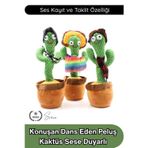 #Kaktüs Konuşan Dans Eden Kaktüs Oyuncak Sese Duyarlı Ses Kayıtlı Müzikli Peluş Bebek Eğitici Taklit