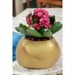 Kaktüs Saksı Dünyası El Yapımı Saksı Altın Premium Kalite Dekoratif Saksı Spiral Oval