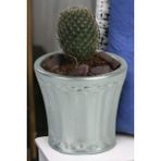Kaktüs Saksı Dünyası El Yapımı Saksı Dekoratif Saksı Küçük Boy Model 40 - Gümüş