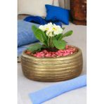 Kaktüs Saksı Dünyası El Yapımı Saksı Premium Kalite Dekoratif Saksı Model 4 - Siyah - Altın