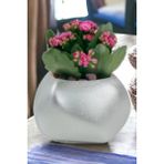 Kaktüs Saksı Dünyası El Yapımı Saksı Premium Kalite Dekoratif Saksı Spiral Oval - Gümüş