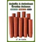 Kaktüs - Sukulent - Bitki Üretim Saksısı, 5,5 Cm, 250 Adet