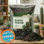 Kaktüs Toprağı (5 Litre) Organik Cocopeat Perlit Pomza Karışımlı Kaktüs Ve Sukulent Toprağı Toprak
