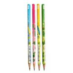 Kaktüs Yuvarlak Kurşun Kalem 4 Adet 1 Paket Faber Kurşun Kalem 2B Siyah Kurşun Kalem Kaktüs Desenli