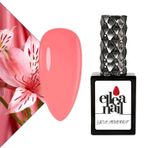 Kalıcı Oje 15 ml 1003