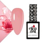 Kalıcı Oje 15 ml 2163