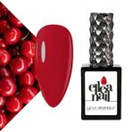 Kalıcı Oje 15 ml 2505