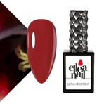 Kalıcı Oje 15 ml A0291