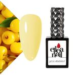 Kalıcı Oje 15 ml A0608