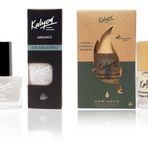 Kalyon Oje Matlaştırıcı+ Kalyon 11 ml Bitkisel Yıpranmış Tırnaklar Yoğun Bakım Yağı