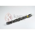 Kameks Eksantrik Mili Emme Bıpper 10 Nemo 10 Doblo 10 Egea 16 Punto 12 500 L 12 95BG 1.3 Jtd Euro5 Döküm