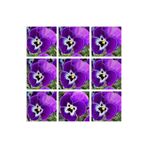 Kampanyalı 30'lu Beyaz Mor Heraci Menekşe Çiçeği Fidanı 5-15 Cm Tüplü Çiçekli Bodur Persian Violet