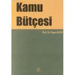 KAMU BÜTÇESİ - FIGEN ALTUĞ