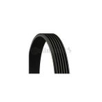 KANALLI V KAYISI ( PEUGEOT: 306 2.0 406 1.8 405 II 1.6/ CITROEN: XSARA 1.8 98-00 ) CONTITECH-6PK1065