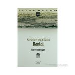 KANATLARI ADA SÜSLÜ KARTAL - ROZERIN DOĞAN
