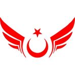 Kanatlı Türk Bayrağı Araba Sticker 17X17 cm Kırmızı - 17 x 17 - Çok Renkli