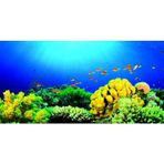 Kanki Pet Akvaryum Arka Fon Yapıştırma 125 x 63 cm KP1256327