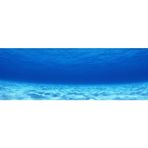Kanki Pet Akvaryum Arka Fon Yapıştırma 185 x 65 cm KP18565003