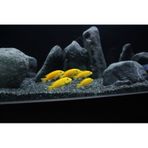 Kanki Pet Akvaryum Kumu 1 KG Bazalt 1-2 MM
