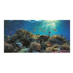 Kanki Pet KP10552021 Akvaryum Arka Fon Yapıştırma 105 x 52 CM