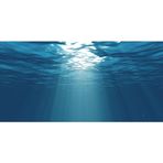 Kanki Pet KP10552029 Akvaryum Arka Fon Yapıştırma 105 x 52 CM