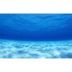 Kanki Pet KP1055203 Akvaryum Arka Fon Yapıştırma 105 x 52 CM