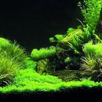 Kanki Pet KP10552035 Akvaryum Arka Fon Yapıştırma 105 x 52 CM