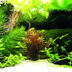 Kanki Pet KP10552036 Akvaryum Arka Fon Yapıştırma 105 x 52 CM