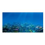 Kanki Pet KP1055209 Akvaryum Arka Fon Yapıştırma 105 x 52 CM