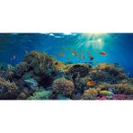 Kanki Pet KP1256321 Akvaryum Arka Fon Yapıştırma 125 x 63 CM