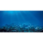 Kanki Pet KP1256322 Akvaryum Arka Fon Yapıştırma 125 x 63 CM