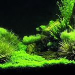 Kanki Pet KP1256335 Akvaryum Arka Fon Yapıştırma 125 x 63 CM