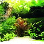 Kanki Pet KP1256336 Akvaryum Arka Fon Yapıştırma 125 x 63 CM
