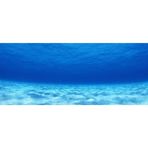 Kanki Pet KP1556503 Akvaryum Arka Fon Yapıştırma 155 x 65 CM