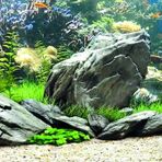 Kanki Pet KP1556534 Akvaryum Arka Fon Yapıştırma 155 x 65 CM