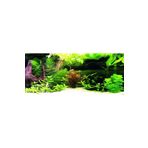 Kanki Pet KP1556536 Akvaryum Arka Fon Yapıştırma 155 x 65 CM
