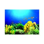 Kanki Pet KP5540027 Akvaryum Arka Fon Yapıştırma 55 x 40 CM