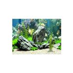 Kanki Pet KP5540034 Akvaryum Arka Fon Yapıştırma 55 x 40 CM